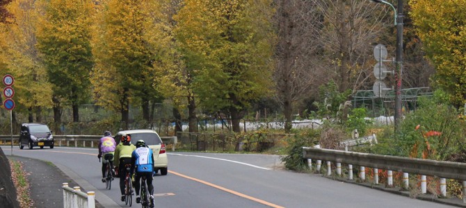 小曾木地区のオススメ