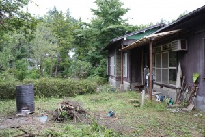 稲刈り体験へ向けて草刈り実施後