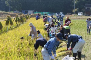 田舎暮らし2