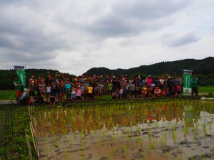 田植え2015