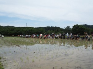 田植え07