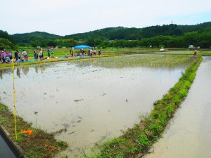 田植え08