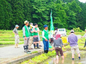 田植え　03