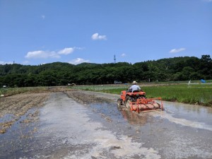 田んぼ 代かき2019.06.13_190623_0001