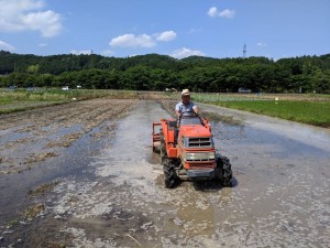 田んぼ 代かき2019.06.13_190623_0005